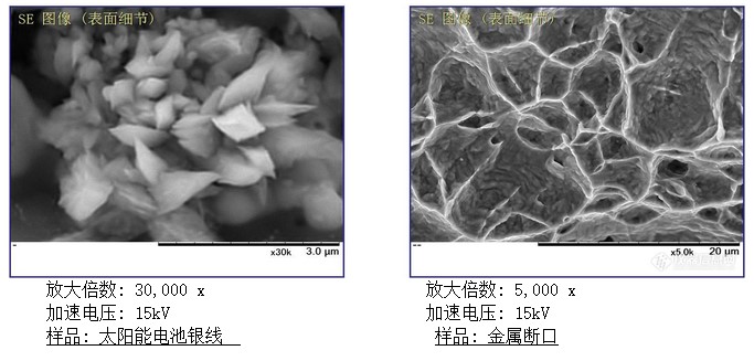 臺(tái)式掃描電鏡