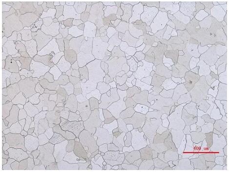 徠卡顯微鏡 徠卡顯微鏡