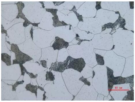 工業(yè)顯微鏡 工業(yè)顯微鏡