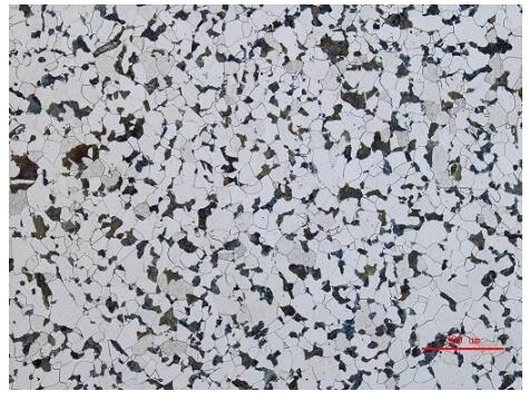 金相顯微鏡 金相顯微鏡