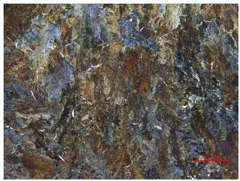 工業(yè)顯微鏡 工業(yè)顯微鏡