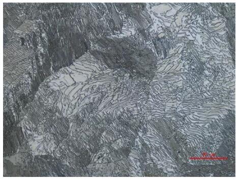 金相顯微鏡 金相顯微鏡