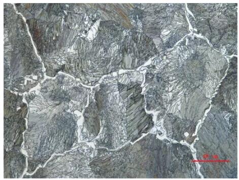 金相顯微鏡 金相顯微鏡