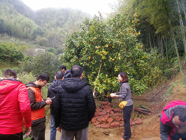 微信圖片_20181214153045.jpg 微信圖片_20181214153045.jpg