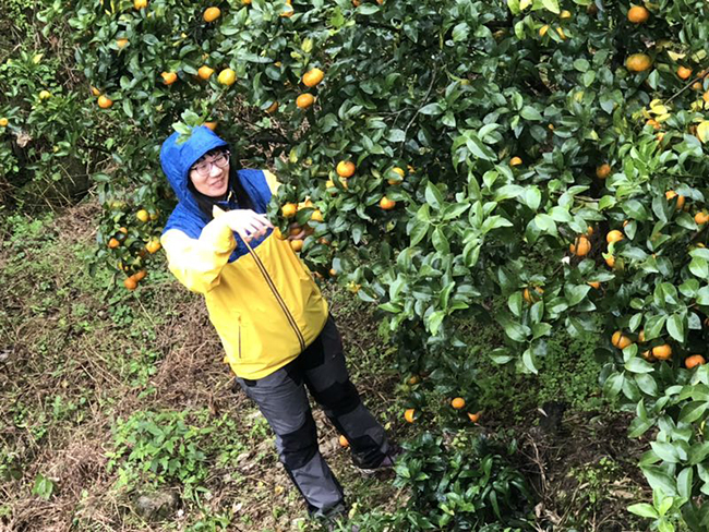 微信圖片_20181214163956.jpg 微信圖片_20181214163956.jpg